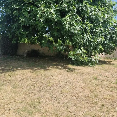 Le Jardin Des Vignes Semesterbostad